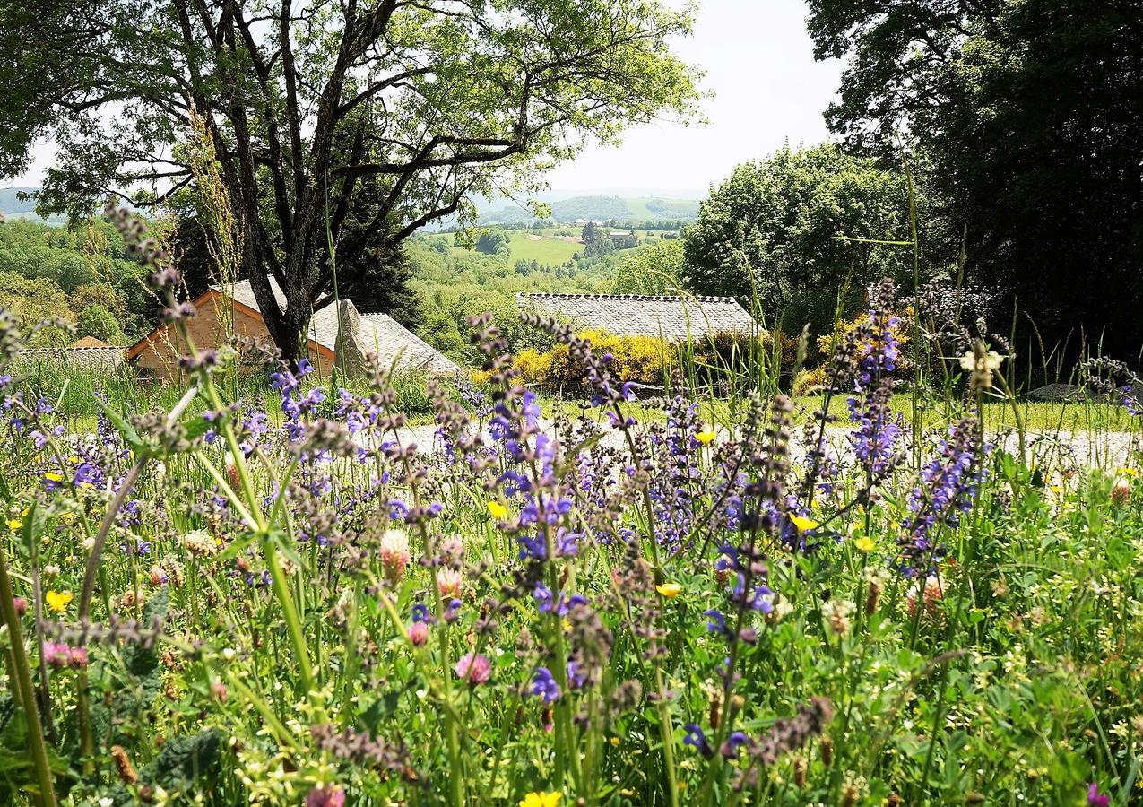 Domaine Des Marequiers Chambre Pimprenelle Saint-Germain-du-Teil Bagian luar foto