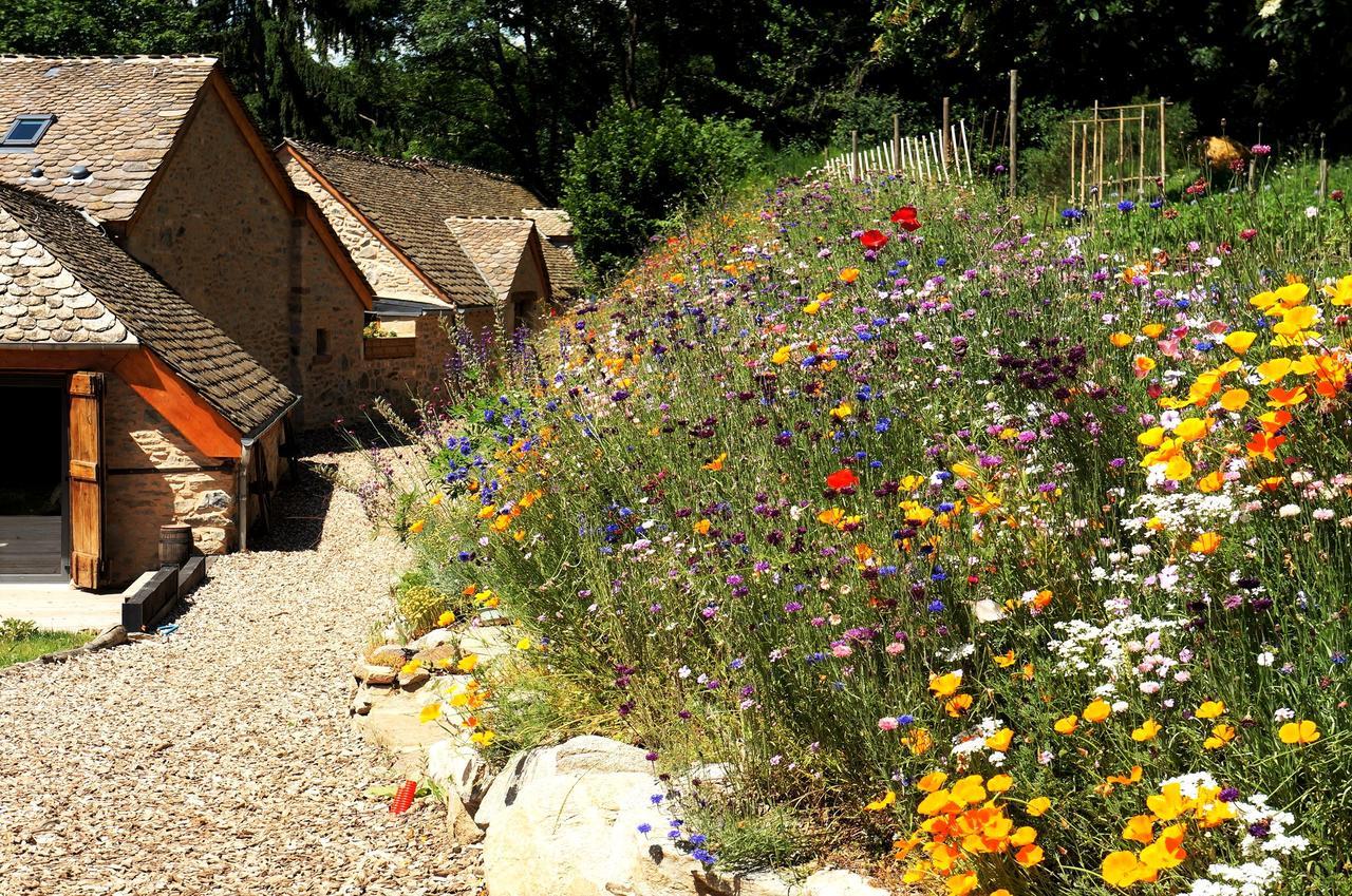 Domaine Des Marequiers Chambre Pimprenelle Saint-Germain-du-Teil Bagian luar foto
