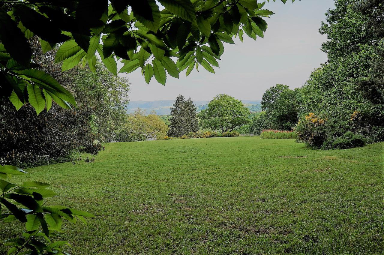 Domaine Des Marequiers Chambre Pimprenelle Saint-Germain-du-Teil Bagian luar foto